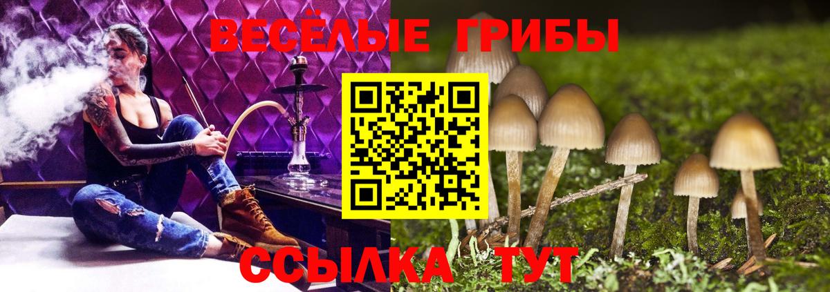 Галлюциногенные грибы мицелий Лениногорск